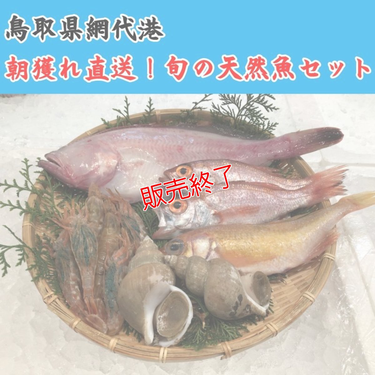 画像1: 朝獲れ直送！旬の天然魚セット【2人さま】 (1)